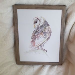 Cute Owl Picture in Frame 11x14